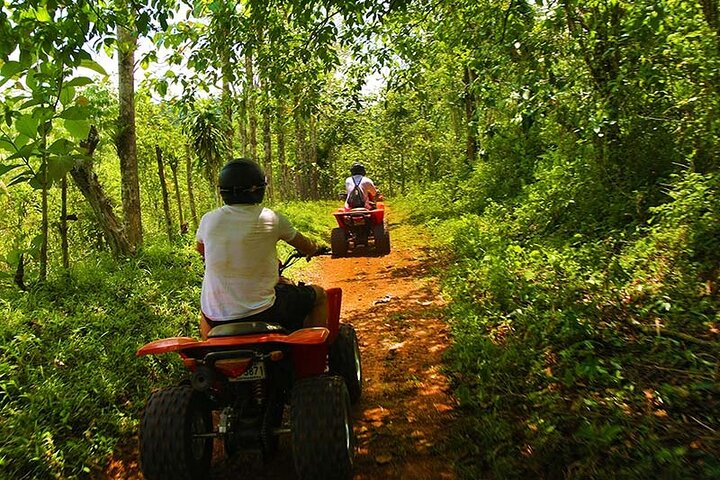 ATV 2 hour rainforest adventure